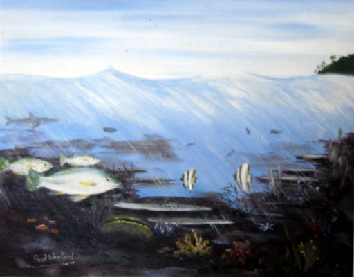Reef Snapper