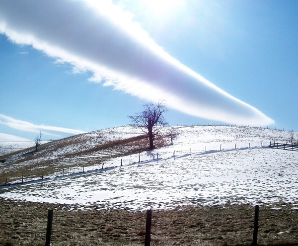 Winter Sky