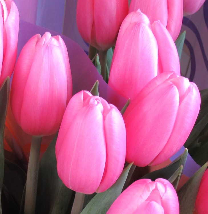 I LOVE PINK !!!