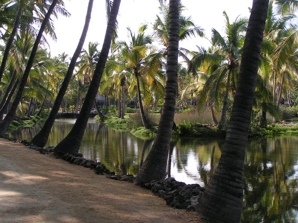 the village