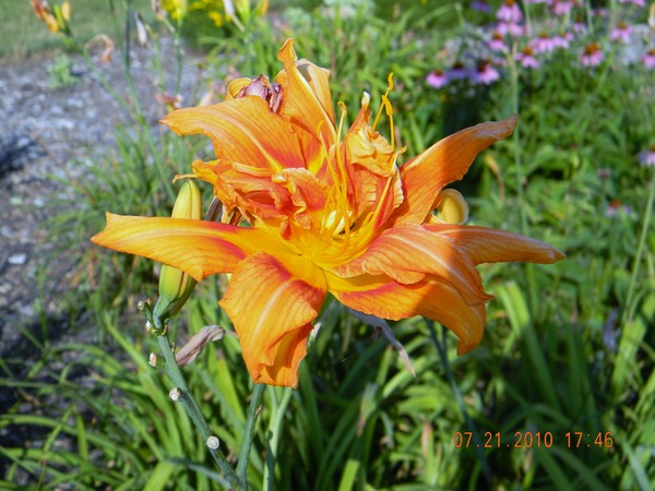 Cedar River Florals