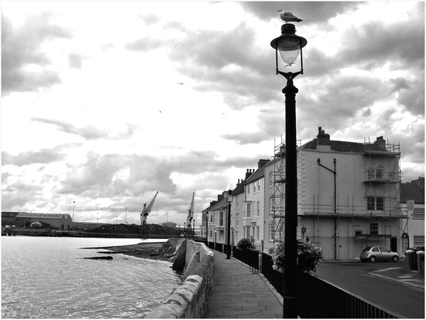 hartlepool/cm/2010