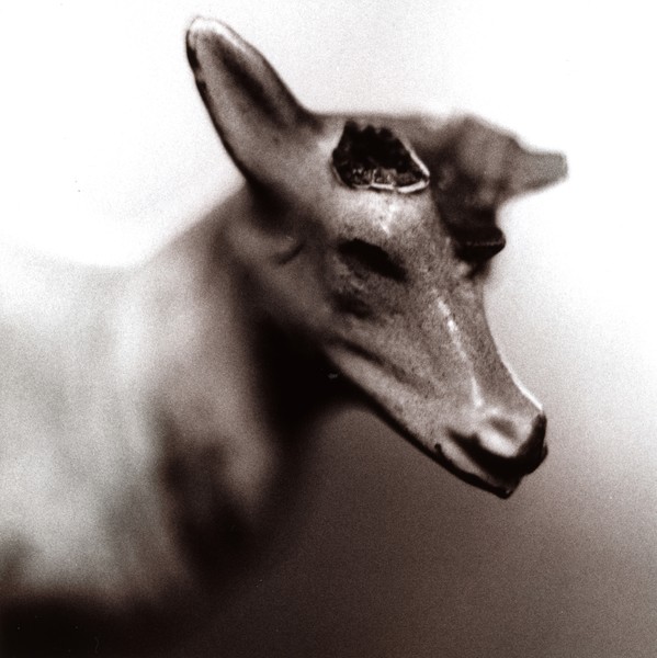 Zero point stag