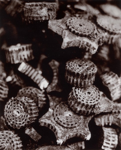 Gears