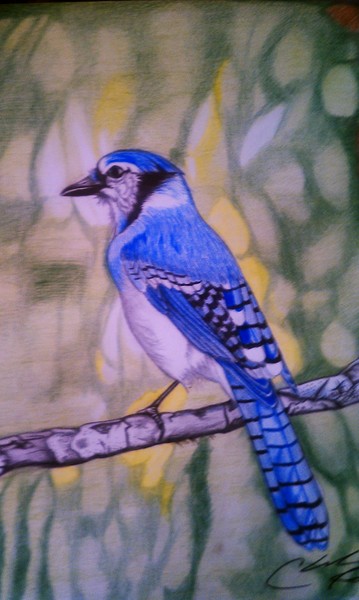 BlueJay
