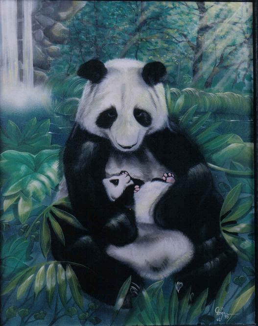 pandas