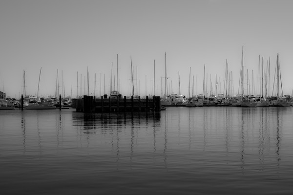 Poles Adrift