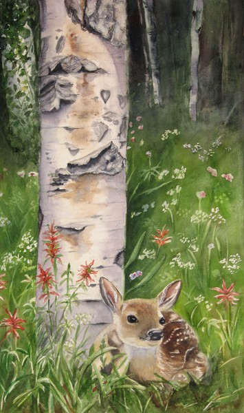 fawn in woods