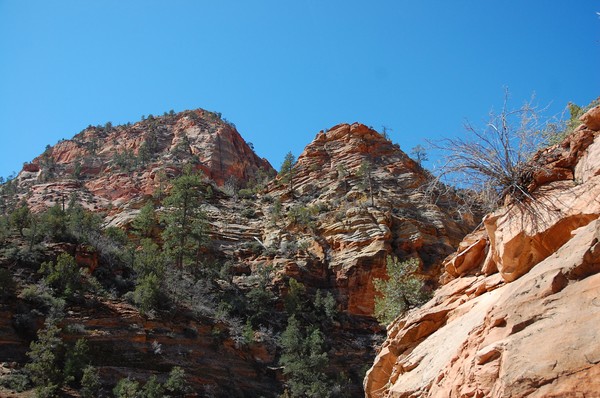 Inside Zion National Park Cliffs