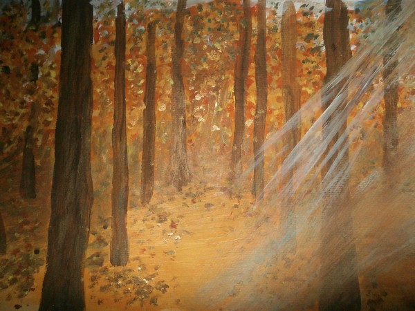  woods in autumn