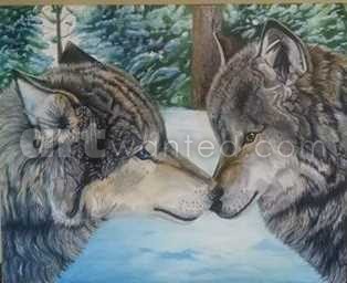 wolves tender touch