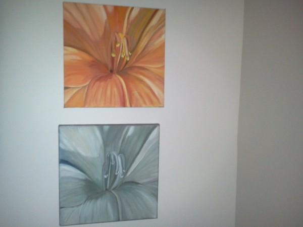 Lily Study