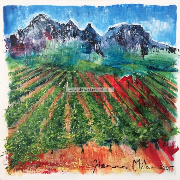 Cape Vineyards 