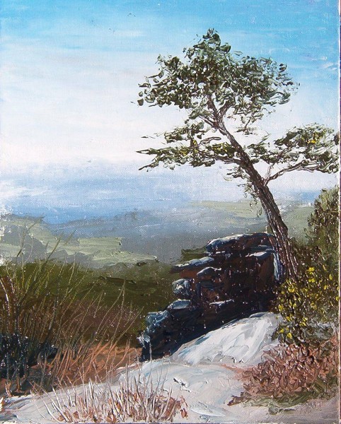 View from Pilot Mountain
