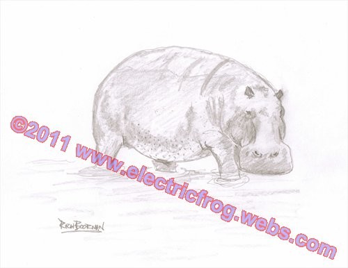 Hippo