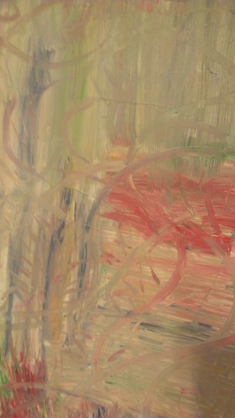 IMAG0264