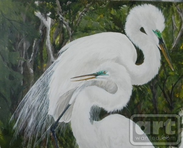 Egrets