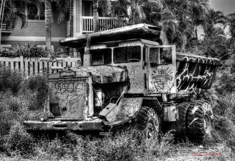  DSC8006orig copy2MONTEBWs