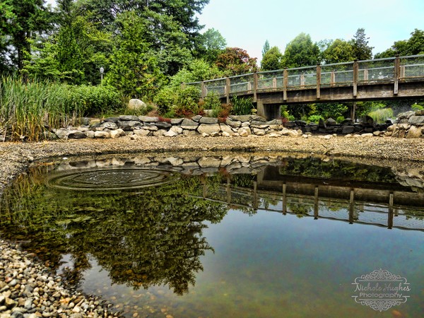 Tranquility