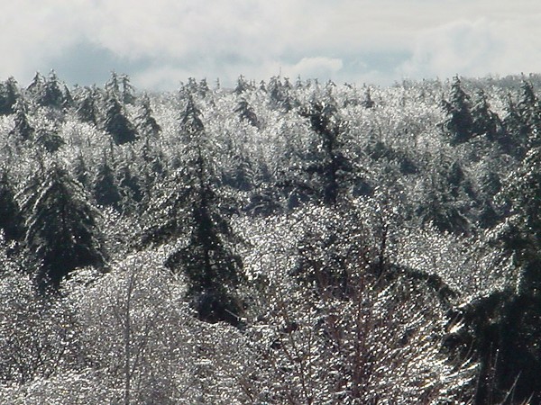 Ice Storm