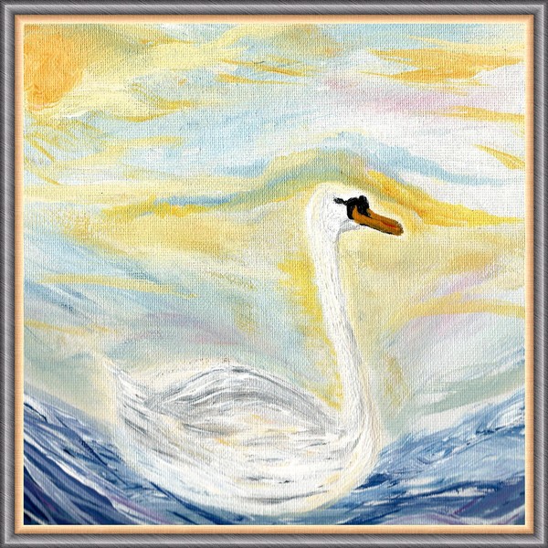 Swan swimming the river