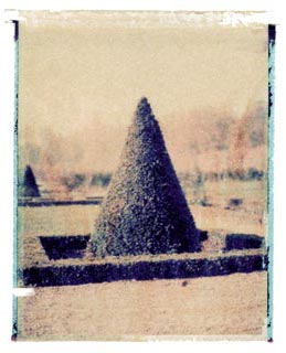 Conical Hedge