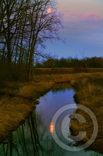 Full moon rising