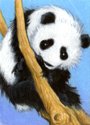 Card - Panda in a Tree - SOLD