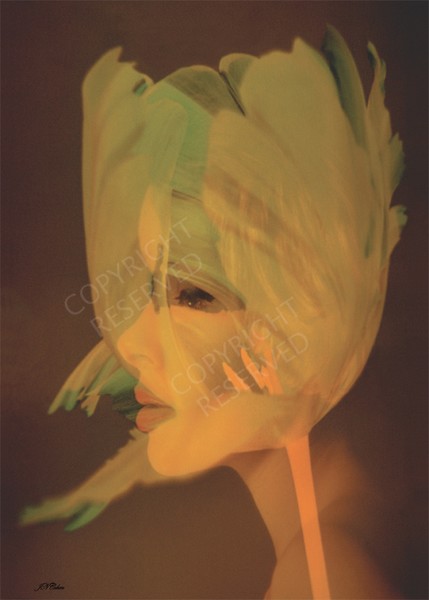 (03) Spirit of Spring