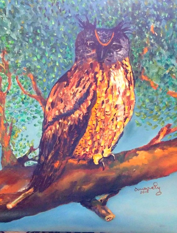 1 hibou