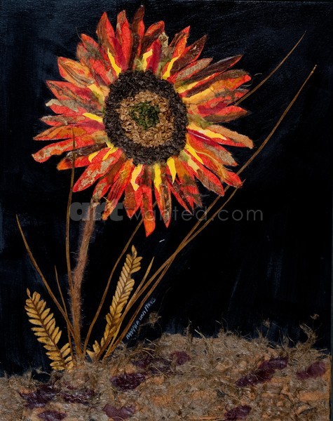 Sunburst II