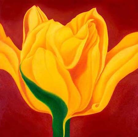 Anniversary Tulip