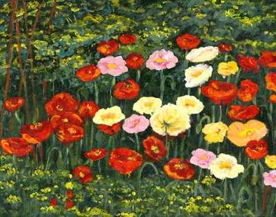FIELD OF POPPIES