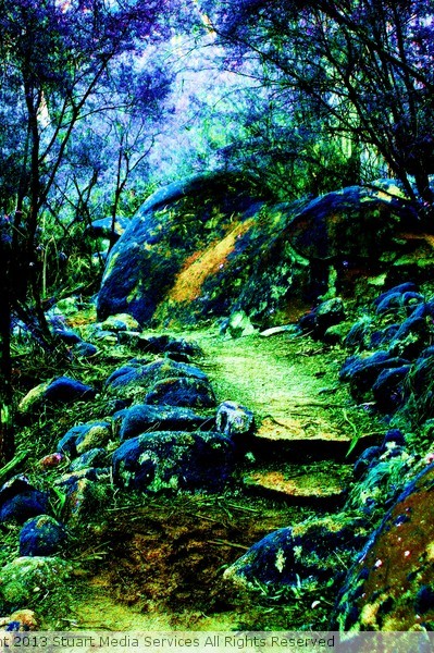 Mystical Mountain 