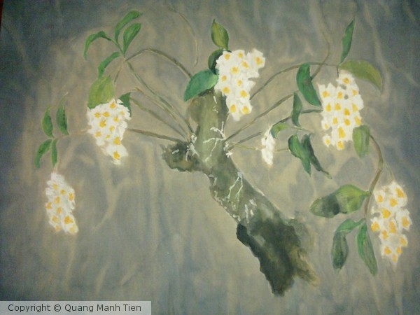 orchid
