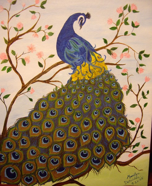 Peacock in Cherry Tree