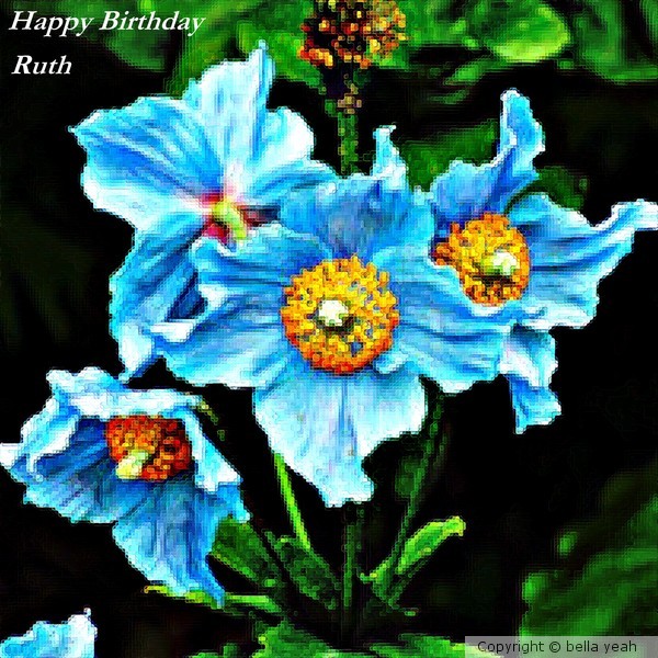 happy birthday ruth