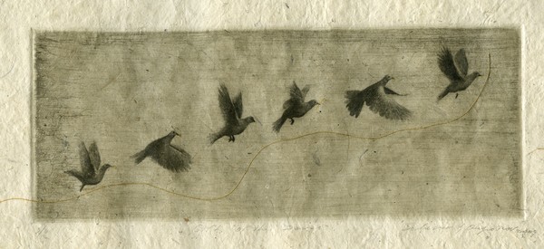 Gift of the Doves