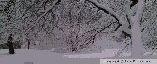 anothersnowtree
