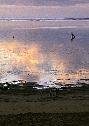Early morning at the beach