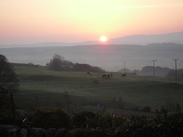 beautiful sunrise