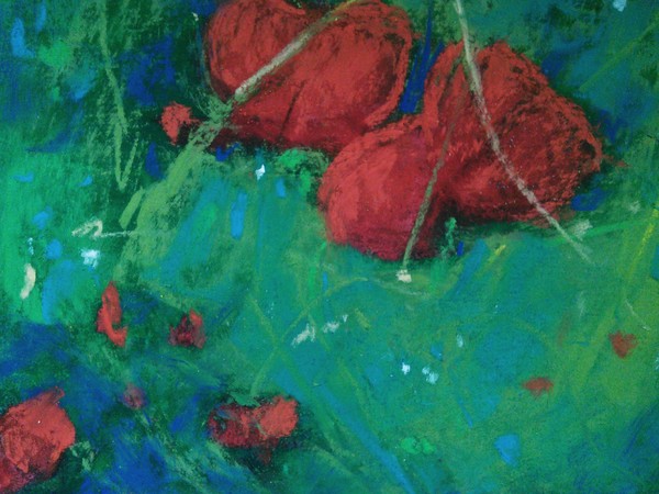 peeping poppies