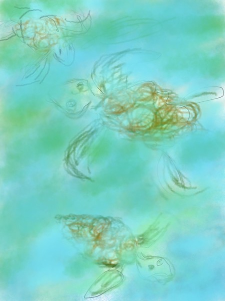 Swimming Turtles