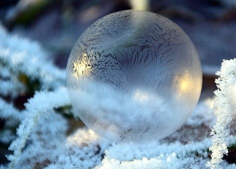 christmas (16)