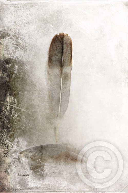 Feathers in Balance