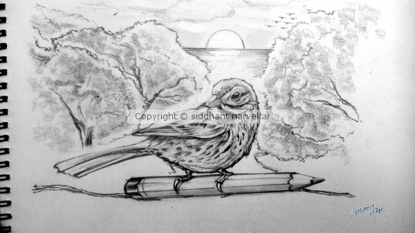 sparrow