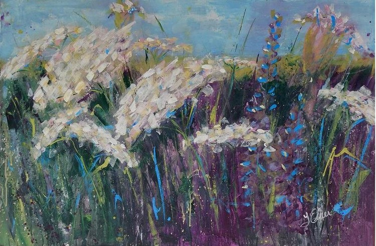 Queen Anne's Lacy Field