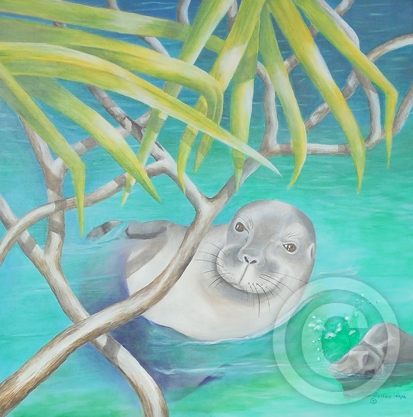 Hawaiian Monk Seal