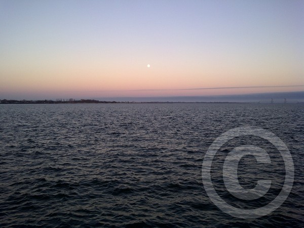 jamaicabay