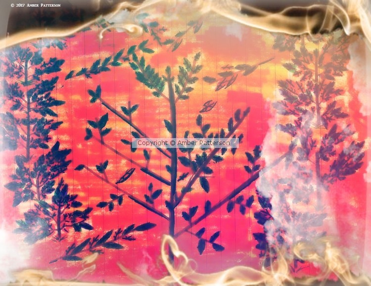 A Fire Canvas